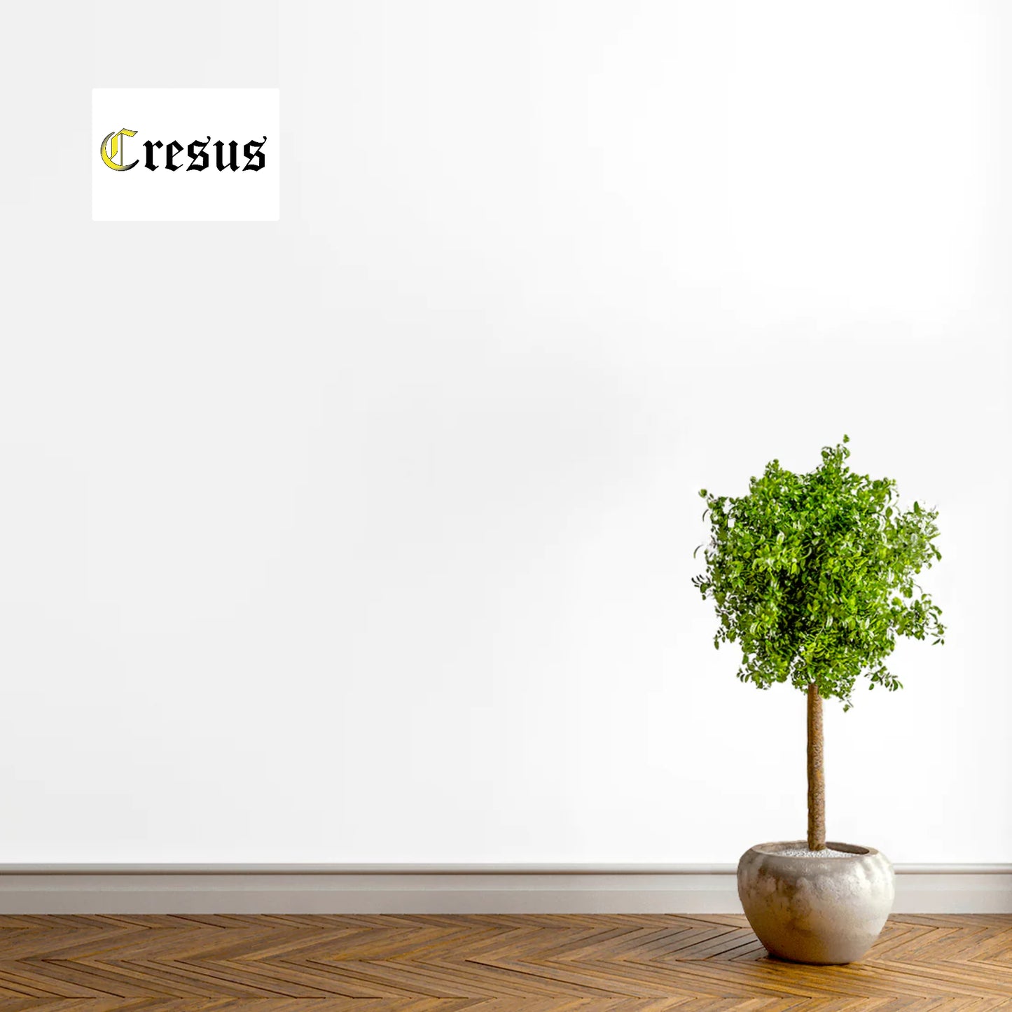 Poster CRESUS - Mat - Horizontal