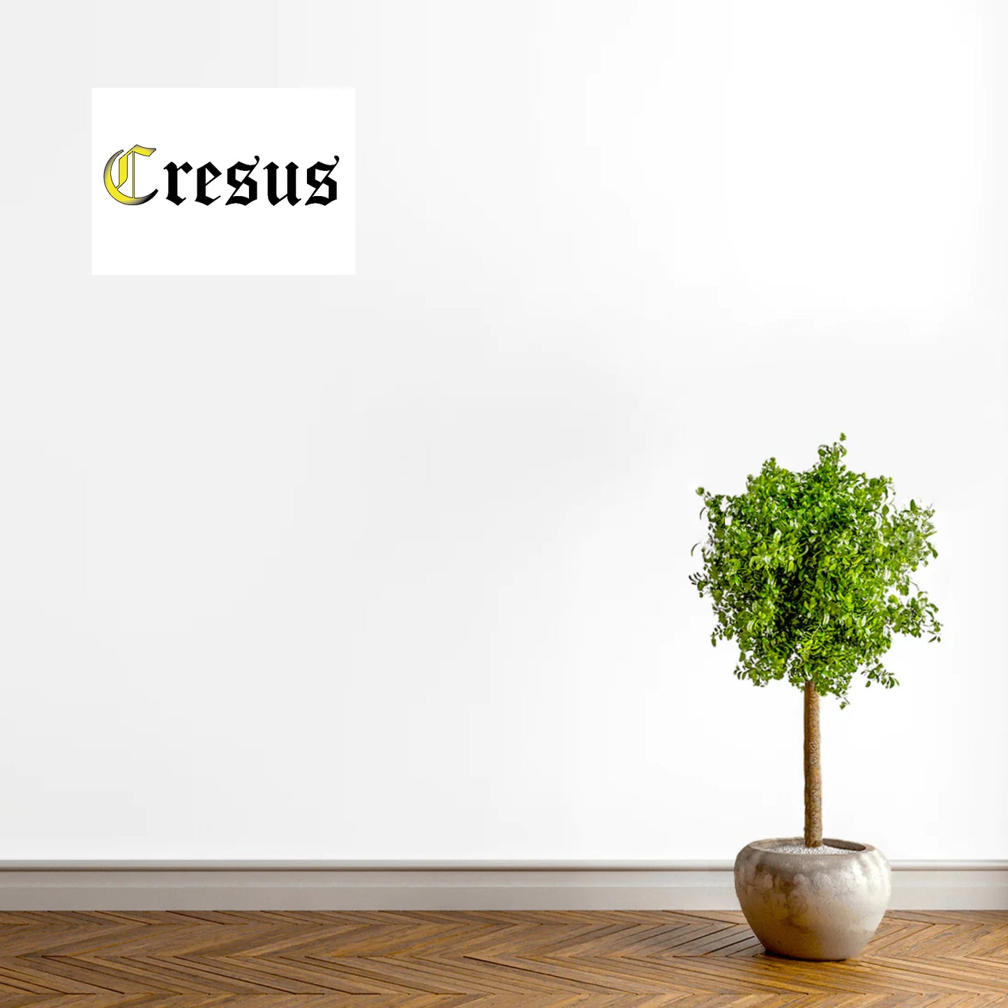 Poster CRESUS - Mat - Horizontal
