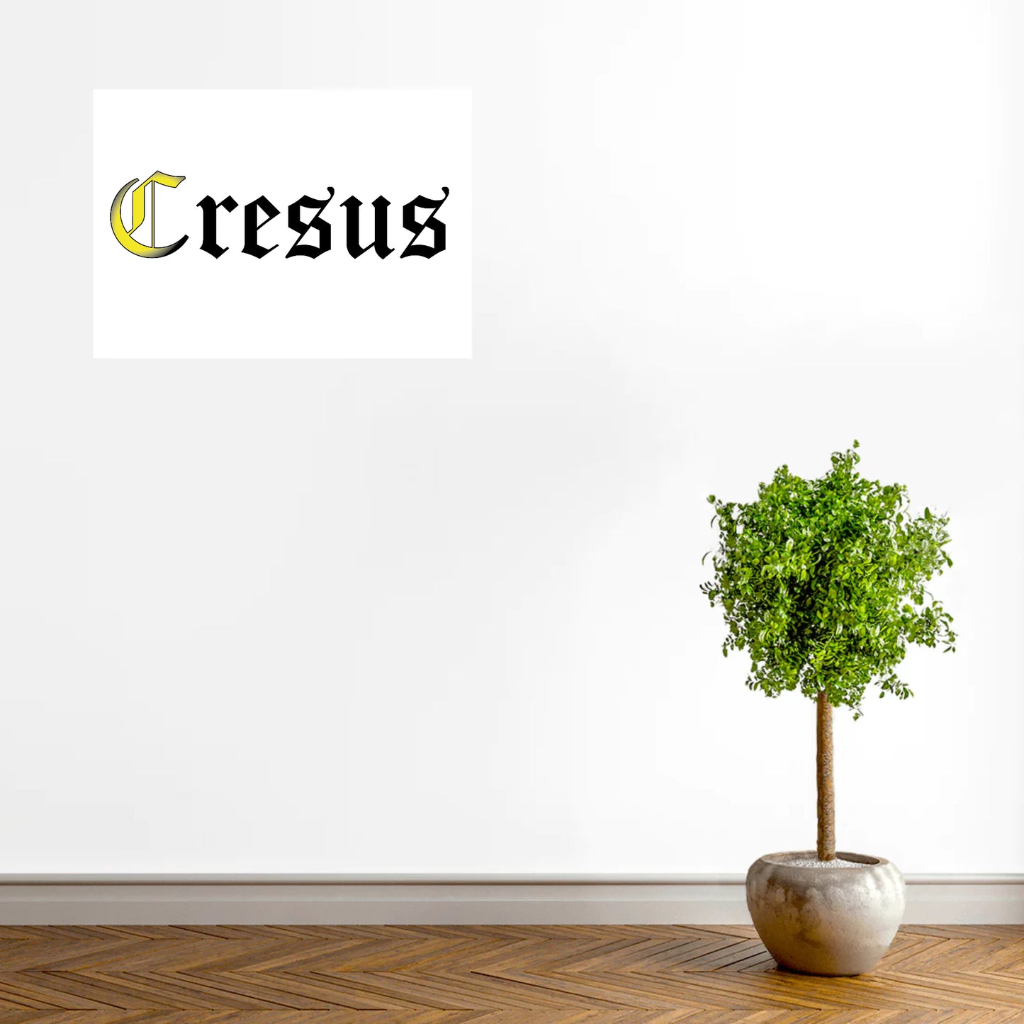 Poster CRESUS - Mat - Horizontal